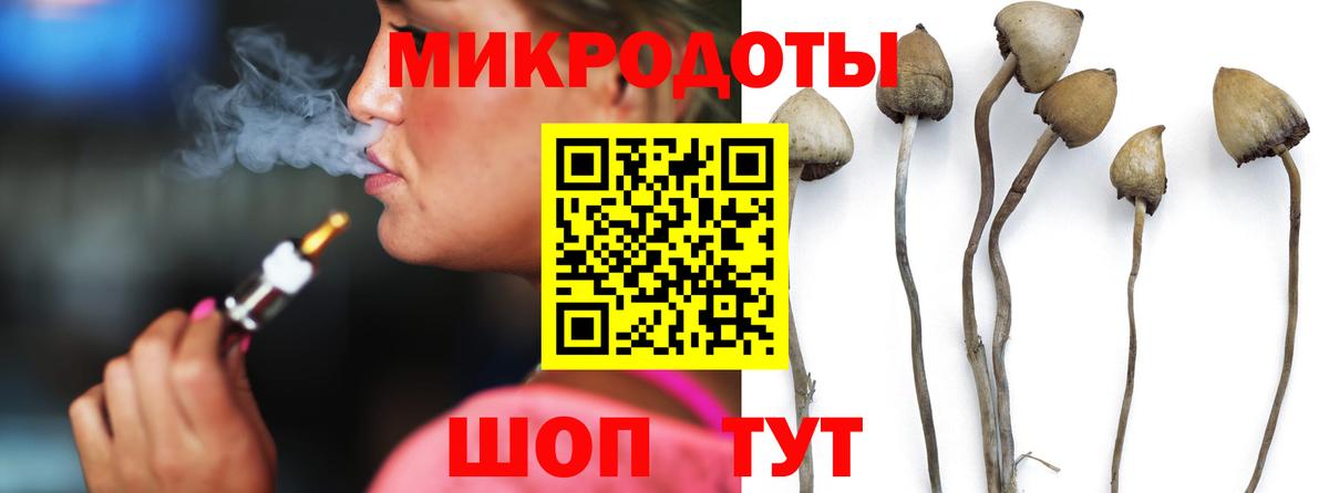 Псилоцибиновые грибы MAGIC MUSHROOMS  Вход с VPN  Псилоцибиновые грибы Magic Shrooms  Алапаевск 